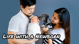 LIFE WITH A NEWBORN | 3 Months Update | First time mom