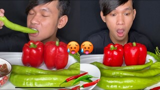 Eat Spicy Chili | ហូបម្ទេស Chili + Bellpepper 🔥🔥