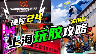 在上海被硬控24H!这里居然有这么多胶店！！上海游玩 胶佬 探店 朝圣 【机动魂】
