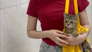 真是一场酣畅淋漓的中文版对话。