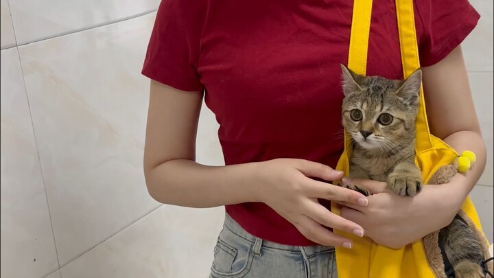 Đó thực sự là một cuộc đối thoại bằng tiếng Trung thú vị.