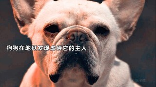 原来坏人真的会下地狱受到惩罚！狗狗终于在地狱见到欺负它的主人！