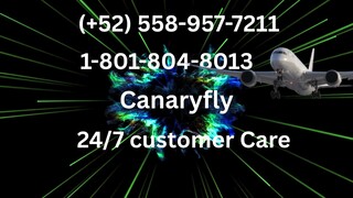 Lista completa de números de contacto del servicio de atención al cliente de Canaryfly® en EE. UU.