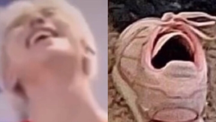 พวกแกนี่กินแป้งทอดกับลูกถ่านไปหมดแล้วใช่ไหม ฮ่าๆๆๆๆๆ