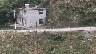 养过田园犬的应该都有过这种待遇吧