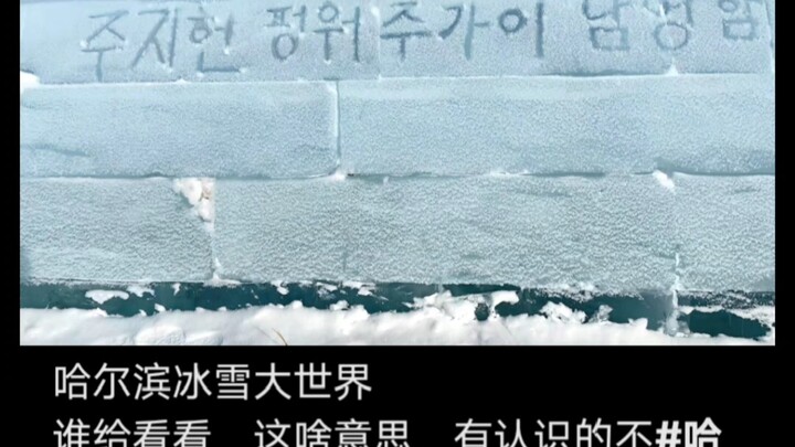 ครูสอนภาษาเกาหลีของทุกคนดูไม่ค่อยน่าไว้วางใจเลย