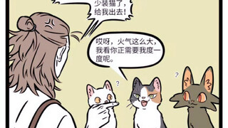 非人哉 果然猫猫都是活菩萨！！！谁能拒绝大士猫猫