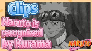 [NARUTO]  Clips | Naruto is recognized by Kurama