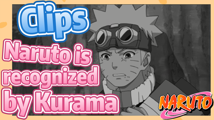 [NARUTO]  Clips | Naruto is recognized by Kurama