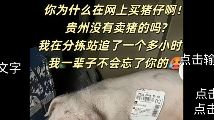 "Apa saja barang aneh yang pernah kalian beli online?"d(ŐдŐ๑)