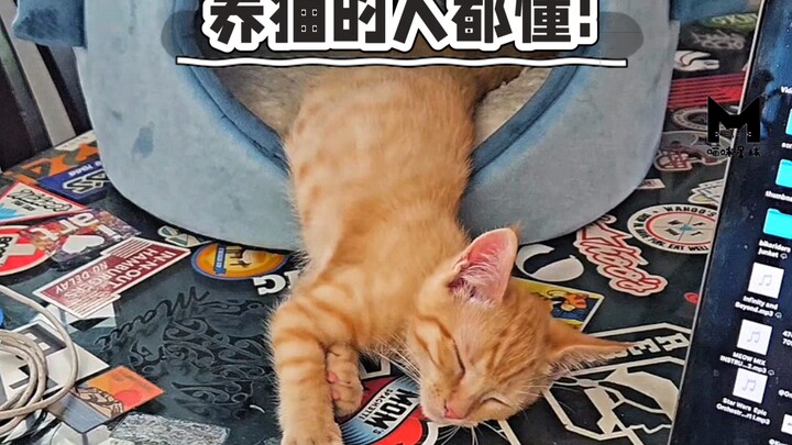 I hope I’m not the only one who feels this way?