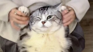 [Original] I'm your Band-Aid～