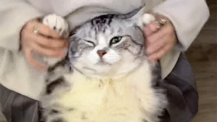 【أصلي】أنا لاصقك الطبي~