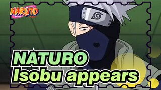 NATURO|【Shippuden】Isobu appears - Kakashi's exploration mission_B