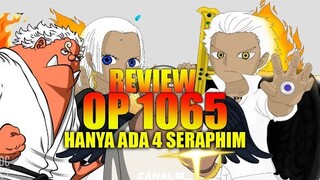 [ REVIEW OP 1065 ] EIICHIRO ODA MULAI MENGGILA, GUYS!!!