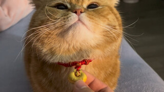 Now there’s nothing missing around your neck!