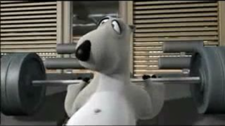 Bernard The Polar Bear _ Gym