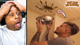 You Laugh You Lose #8 | EXTREME Try Not To Laugh TikTok Challenge!