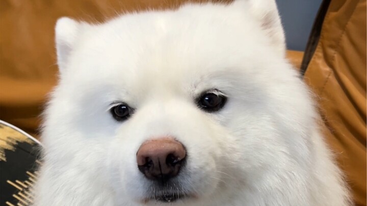 Lại là một ngày chê bai lẫn nhau