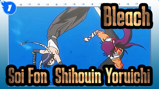 Bleach
Soi Fon&Shihouin Yoruichi_1