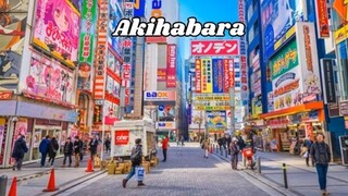 Top 15 Must Visit Attractions in Tokyo Ultimate Tokyo Travel Guide!