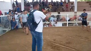 bulik na siksik buwaya