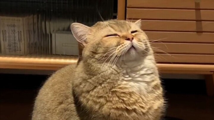 "Students in Extreme Financial Difficulty"