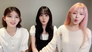 الخطوبة هي قبر الحياة