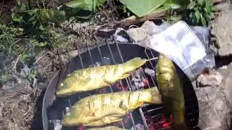 Bakar Ikan