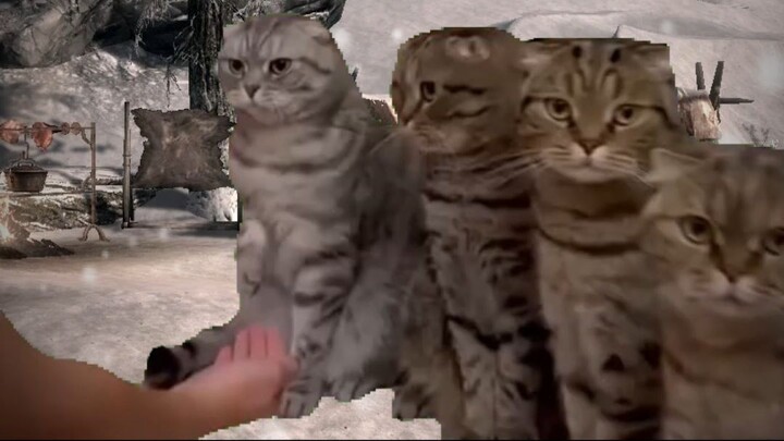 Every time I see a Khajiit caravan #skyrim #memes