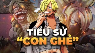 ONE PIECE | SANJI LÀ AI? ĐÔI CÁNH CỦA VUA HẢI TẶC TƯƠNG LAI