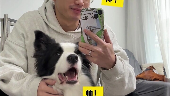 Do dogs really start to look more and more like their owners over time? By that logic, if someone ca