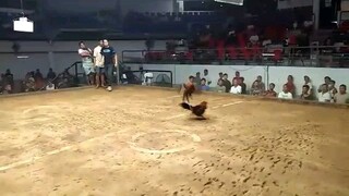 2 hits ulutan coliseo de manila first fight win