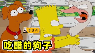A boy's life-or-death battle with an ostrich! A dog that eats birds won't eat ostriches anymore? (Th