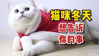 In winter, cats want to tell you eight things! Will you read it?