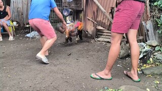 my personal line hatch dome.