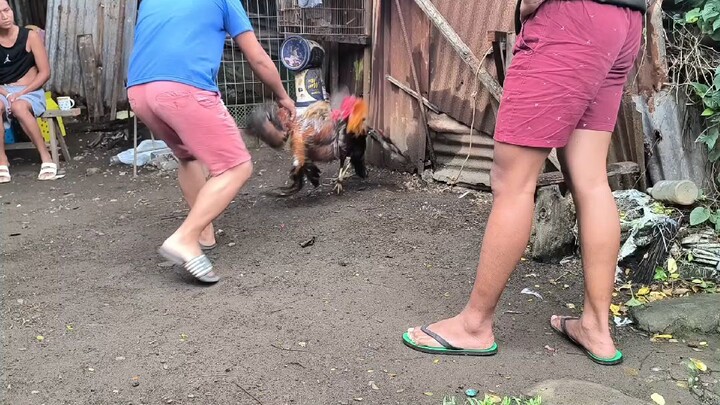 my personal line hatch dome.