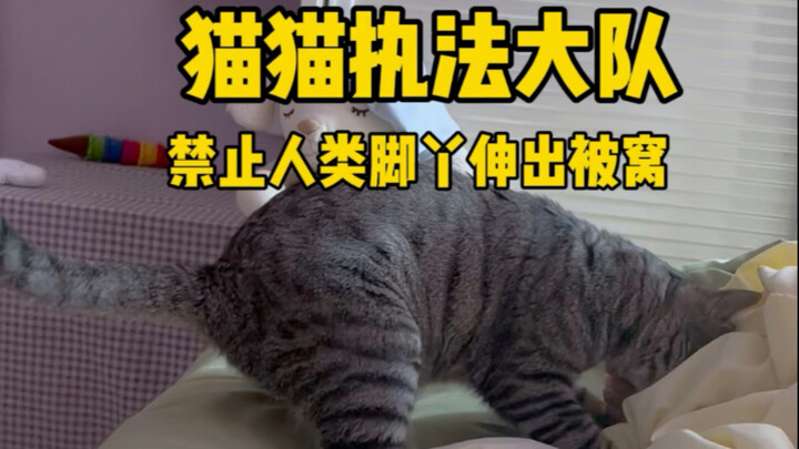 Dilarang bagi kaki manusia untuk menjulur keluar dari selimut