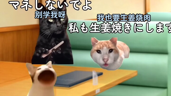 【熟/猫meme】猫家族外出吃饭的故事