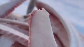 Saat yang indah dengan sepotong ikan kering di hari yang dingin.