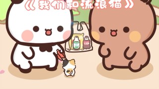 我们和流浪猫