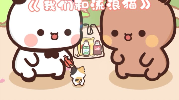 我们和流浪猫