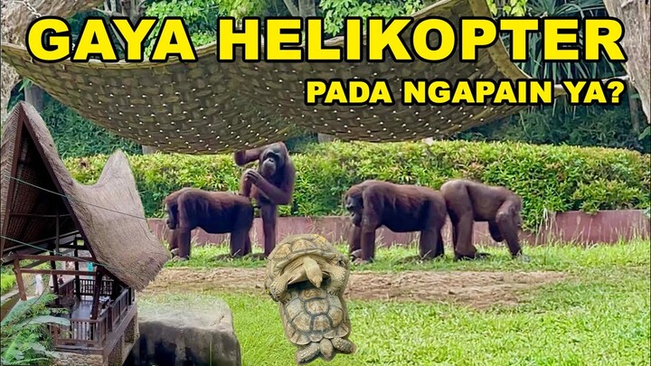 REVIEW BALI ZOO masa pandemi | kepergok lagi main di tengah hutan pakai gaya helikopter