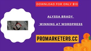Alyssa Brady – Winning at WordPress