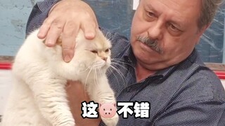 裁判好像在端详食材，哈哈哈哈哈哈哈哈哈