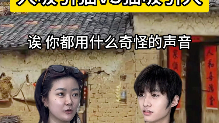 أي أصوات غريبة تستخدم لجذب القطط الصغيرة؟