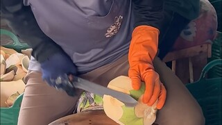 Lini produksi kelapa