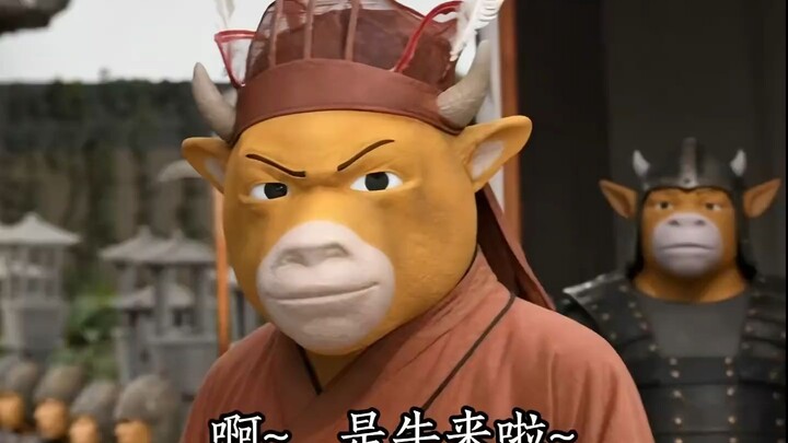 Chinese cow is coming