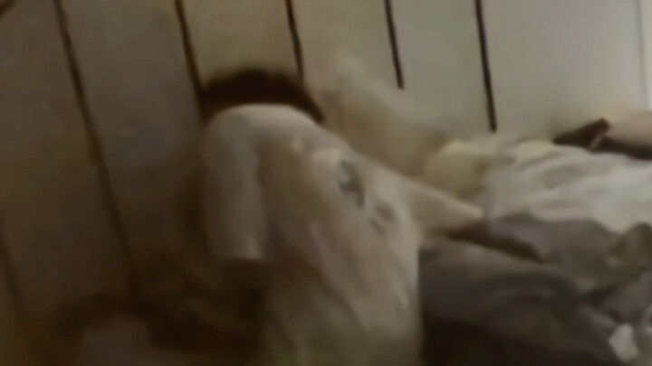 Competing with Yuan Ba for the title of strongest brother-sister duo? It’s not a competition—it’s ju