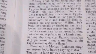 Pang Araw Araw na Talata.               Exodus 14:10-14